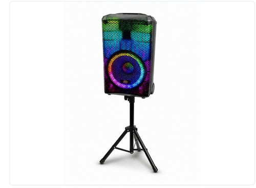 10 Inch Two-Way Premium Speaker