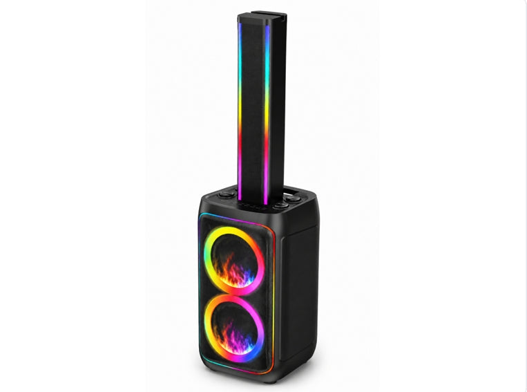 Black Double 6.6 Inch Party Speaker with Column and UHF Microphone