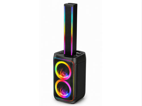 Black Double 6.6 Inch Party Speaker with Column and UHF Microphone