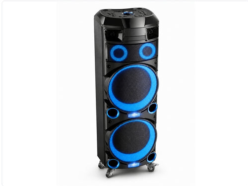 Double 12 Inch Wooden and Plastic Party Speaker with 2 UHF Microphones