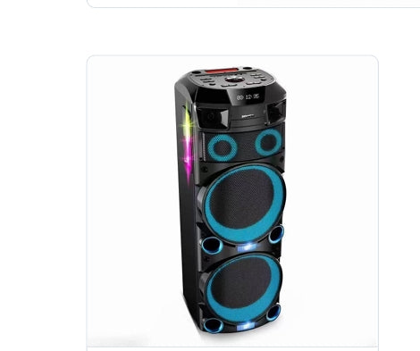 Double 12 Inch Wooden and Plastic Party Speaker with 2 UHF Microphones