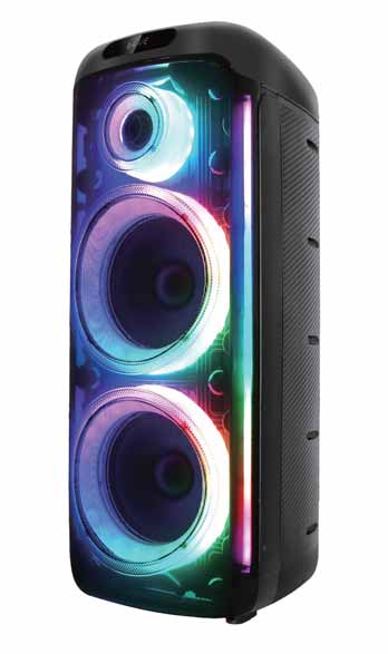 AudioMatrix™ 200W Dual 10" Portable Party Speaker SW161