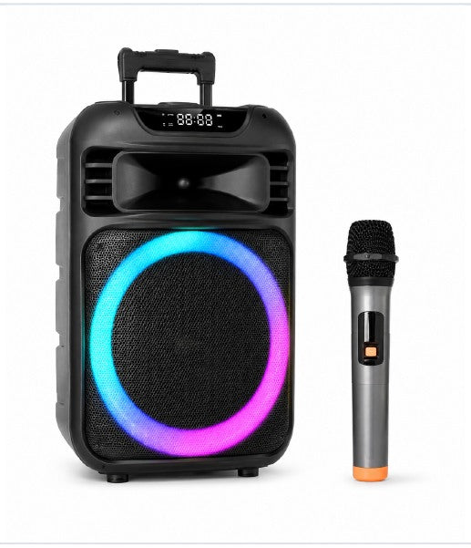 12 Inch Trolley Speaker with MV6 Wireless Microphone