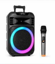 12 Inch Trolley Speaker with MV6 Wireless Microphone