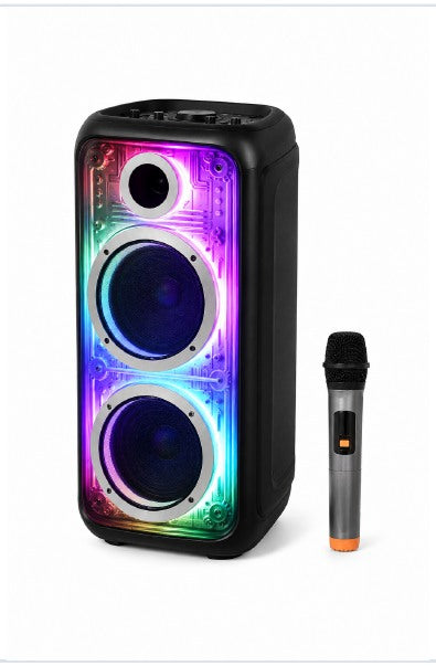 Dual 10 Inch Portable Speaker with MV6 Wireless Microphone