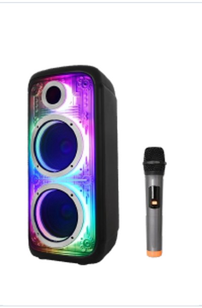 Dual 10 Inch Portable Speaker with MV6 Wireless Microphone