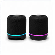 2-in-1 Detachable Magnetic Pairable Speaker