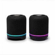 2-in-1 Detachable Magnetic Pairable Speaker
