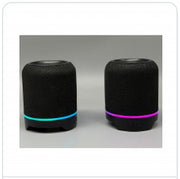 2-in-1 Detachable Magnetic Pairable Speaker
