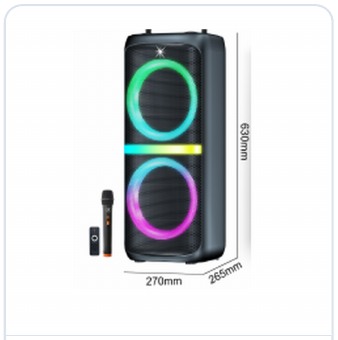 8 Inch RGB Light Portable Party Speaker